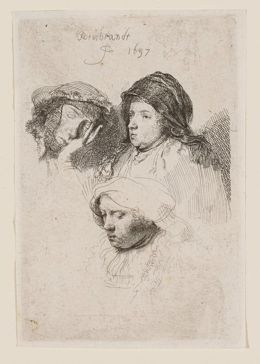 Trzy głowy kobiet, z których jedna śpi autorstwa Rembrandt van Rijn