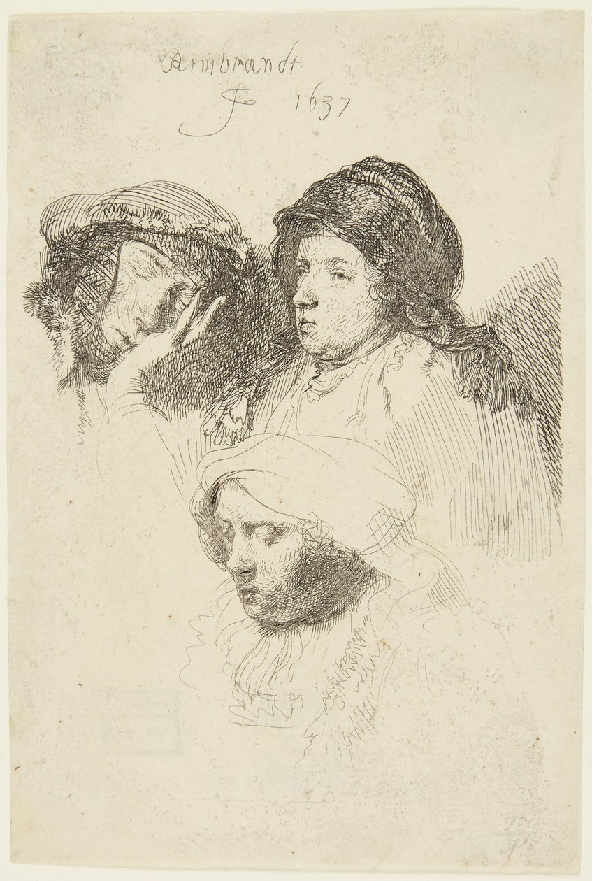 Trzy głowy kobiet autorstwa Rembrandt van Rijn