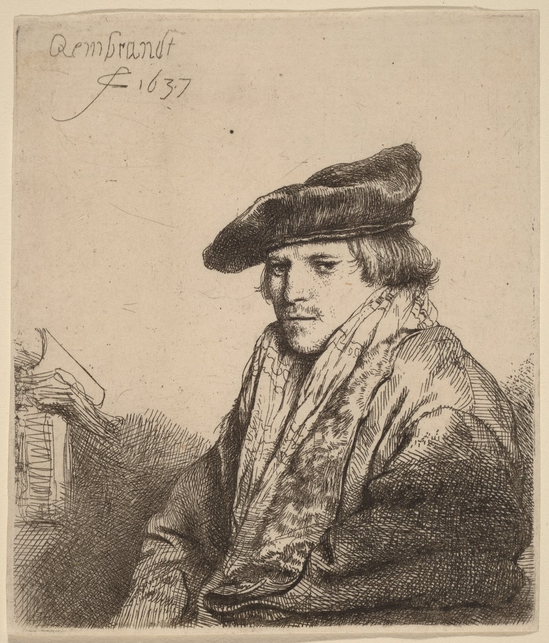 Młody mężczyzna w aksamitnej czapce (Petrus Sylvius) autorstwa Rembrandt van Rijn