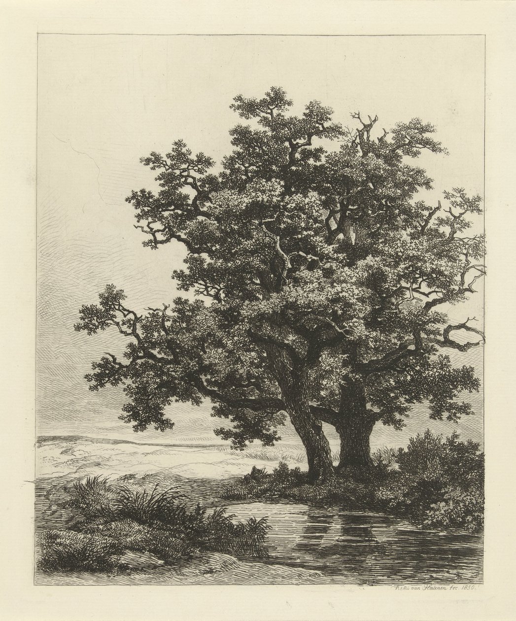 Dwa dęby nad jeziorem autorstwa Remigius Adrianus Haanen