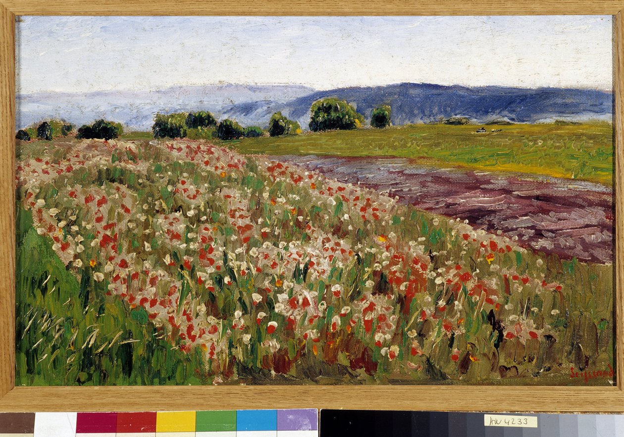O campo de papoulas (pintura) polonês autorstwa Rene Auguste Seyssaud