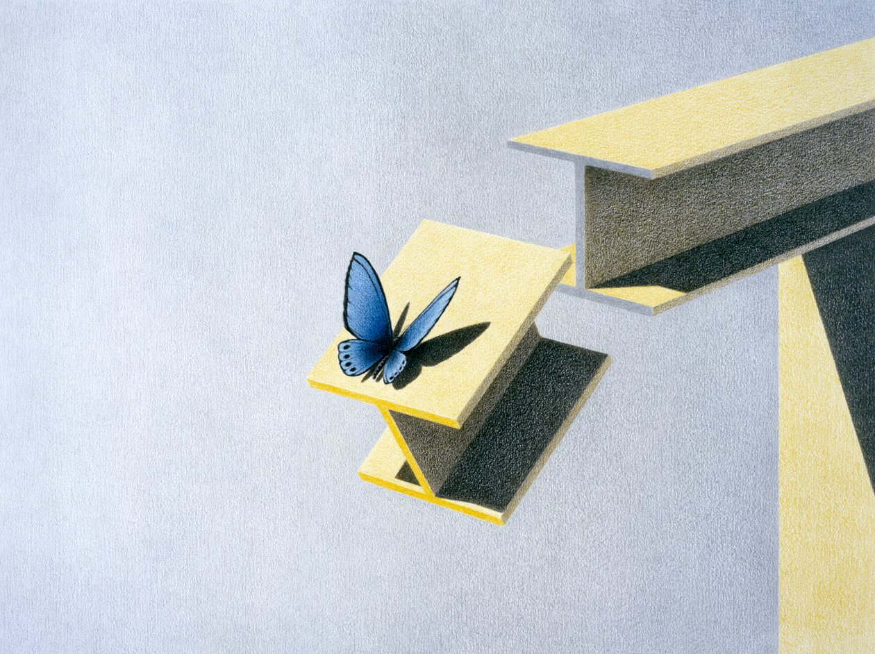 Motyl autorstwa Rene Boin