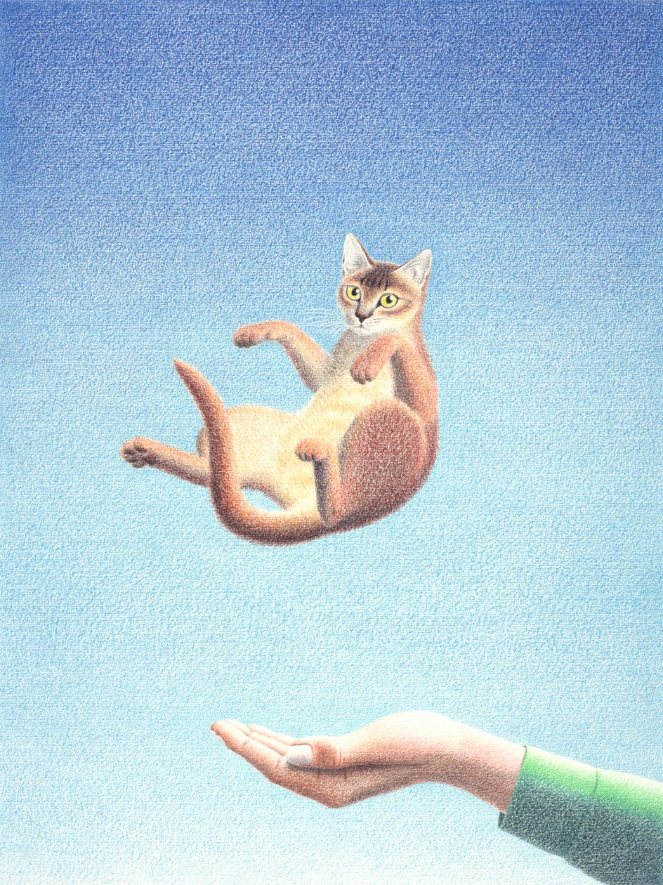 Catch autorstwa Rene Boin
