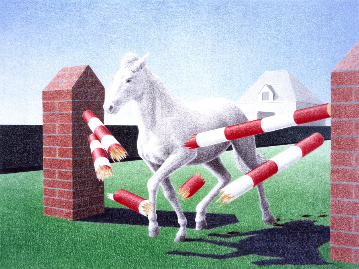 Przeszkoda, 2004, Rysunek ołówkiem na papierze autorstwa Rene Boin