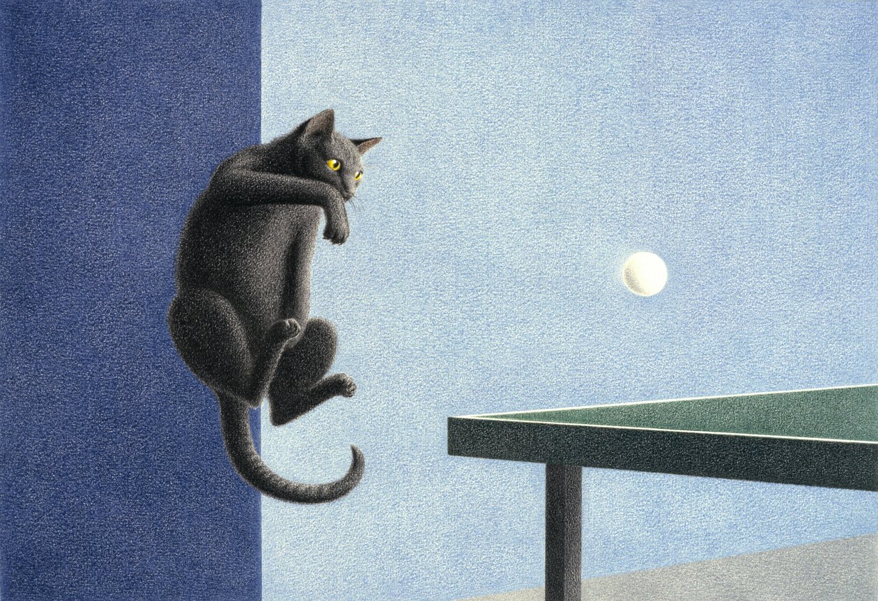 tenis stołowy autorstwa Rene Boin