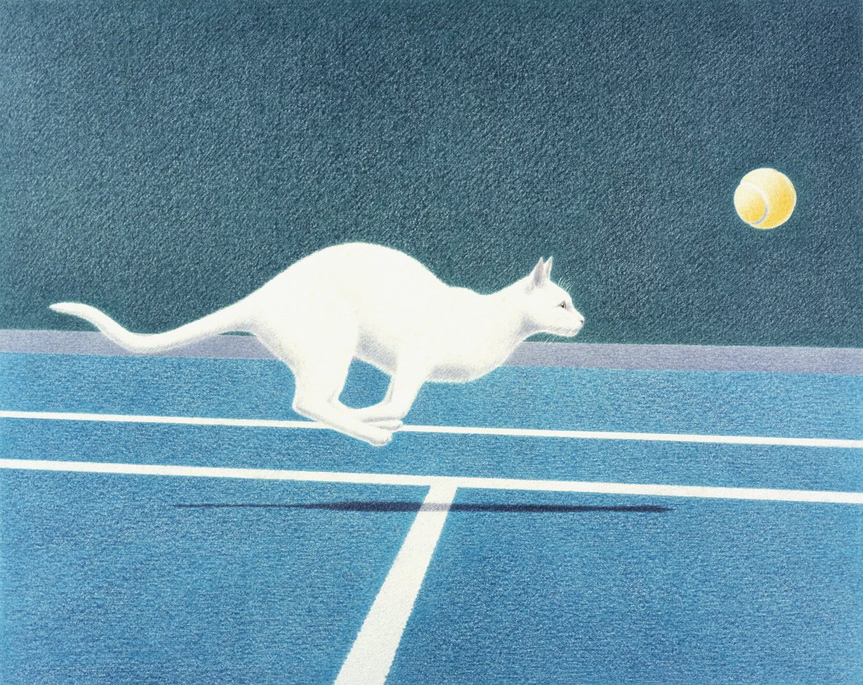 Tenis autorstwa Rene Boin