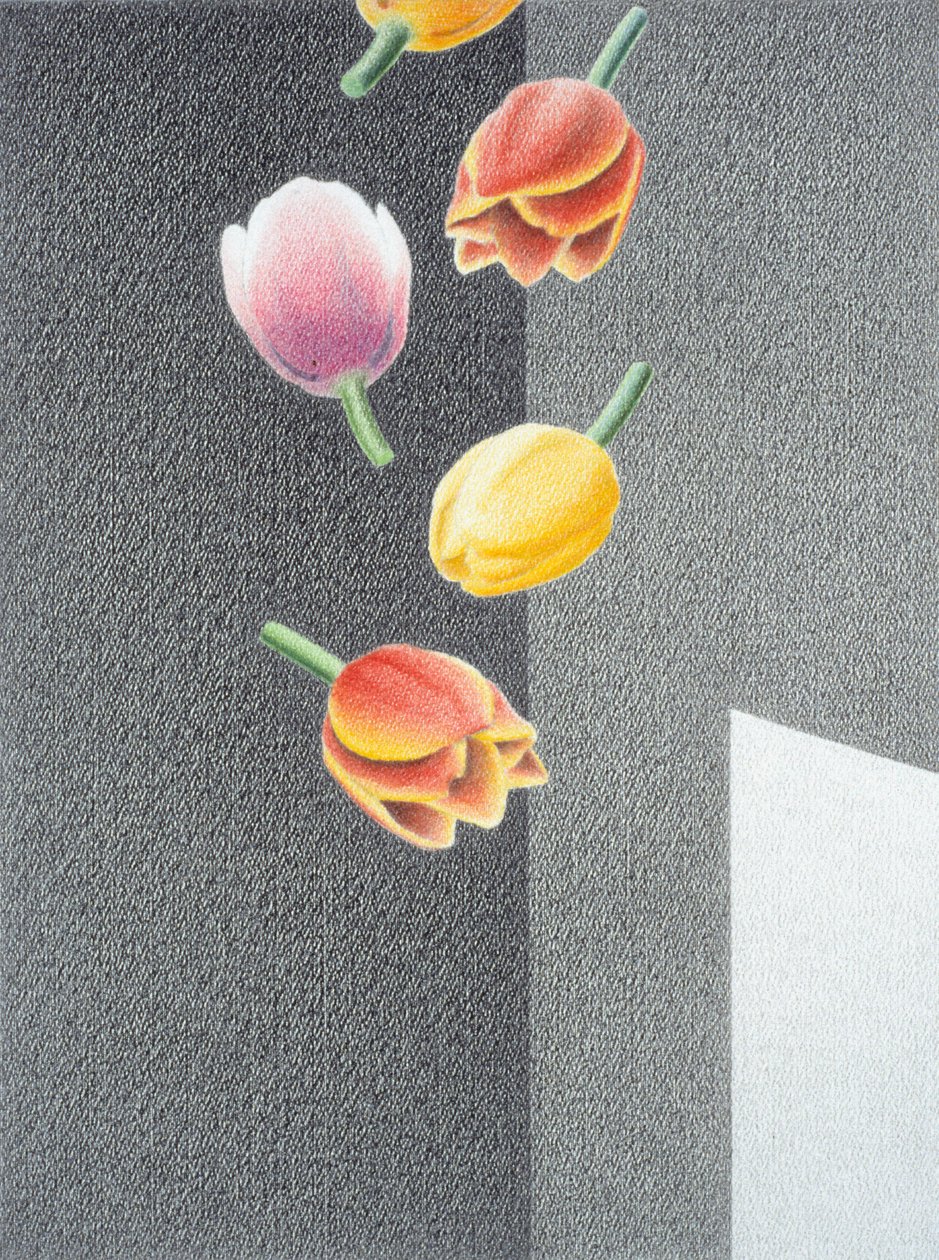 Tulipany autorstwa Rene Boin