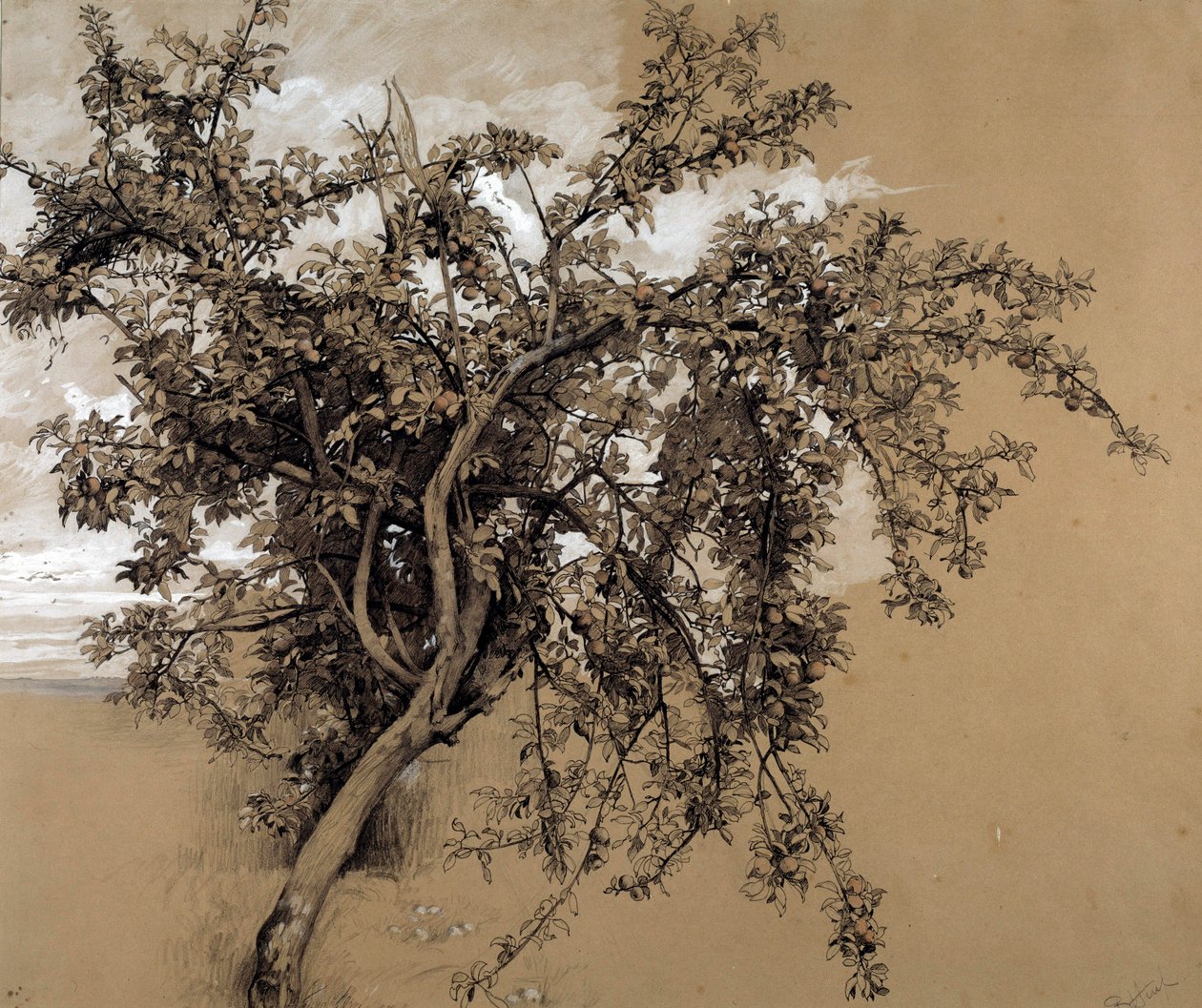 Jabłoń na węgiel drzewny – Rene Ernest Huet (1876-1914) 1913 Paryż, Musee d