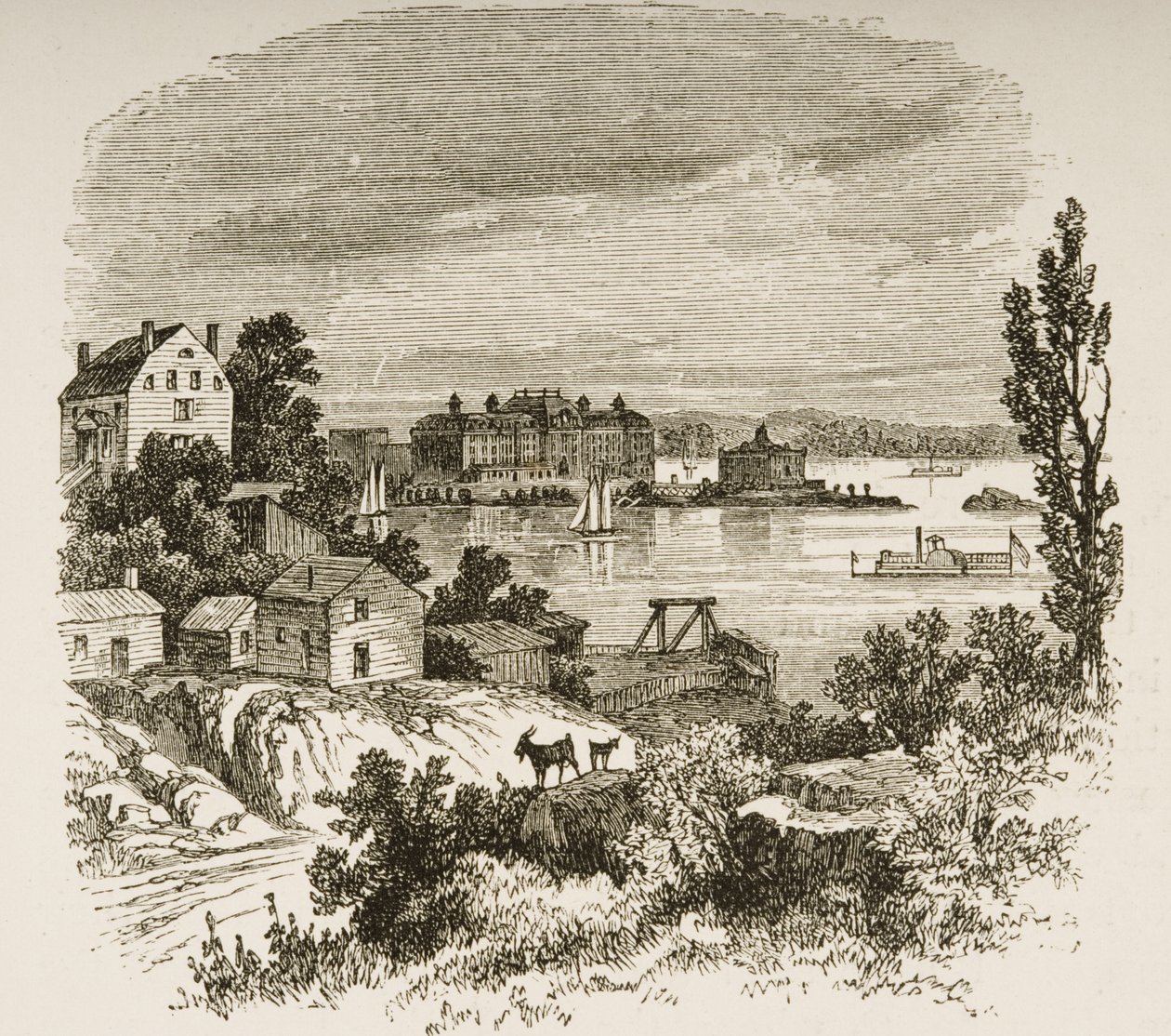 Turtle Bay i Blackwells Island, Nowy Jork, ok.1880 autorstwa Reverend Samuel Manning