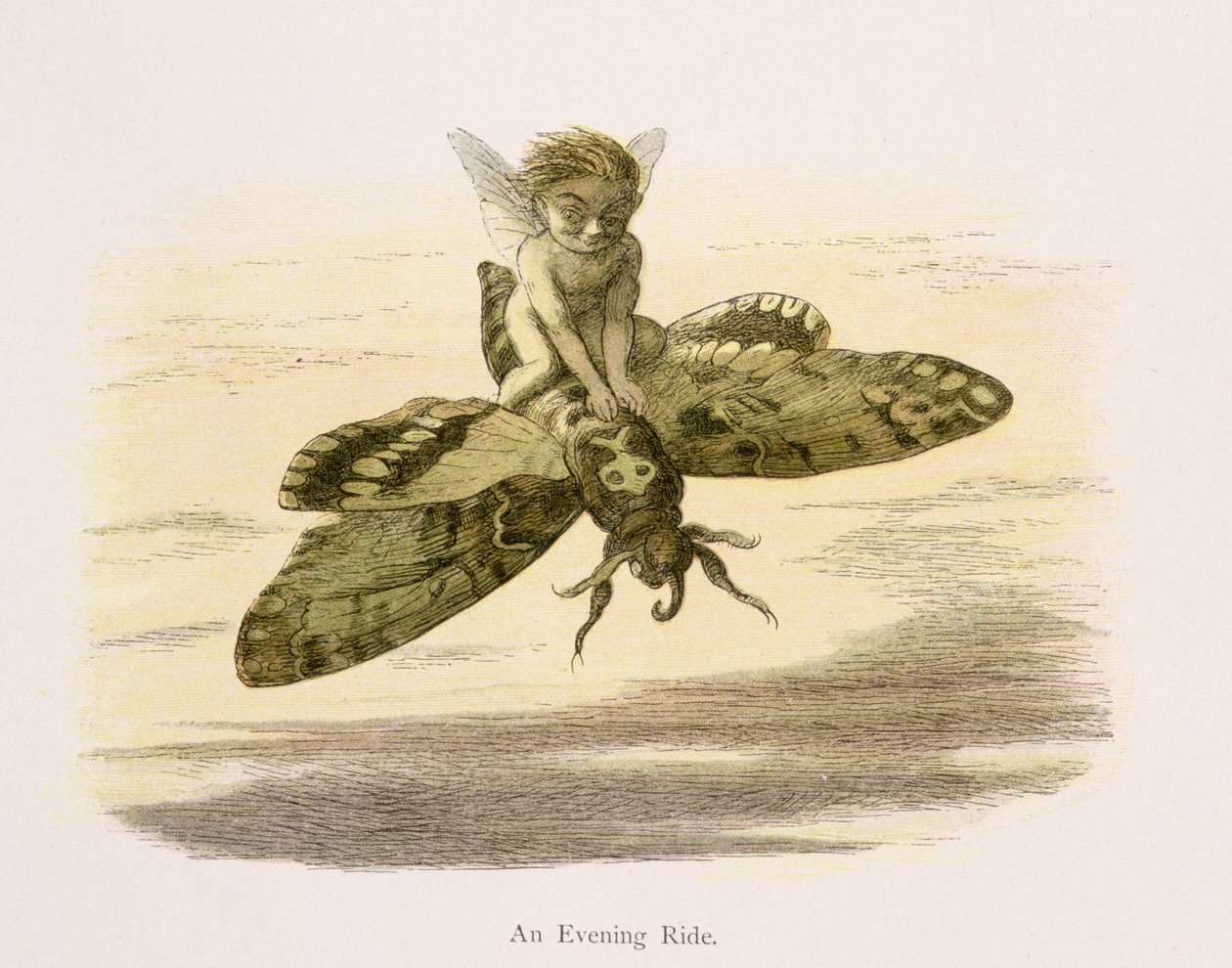 Wieczorna przejażdżka, ilustracja z „W krainie bajek: seria obrazków ze świata elfów” Williama Allinghama i Andrew Langa autorstwa Richard Doyle