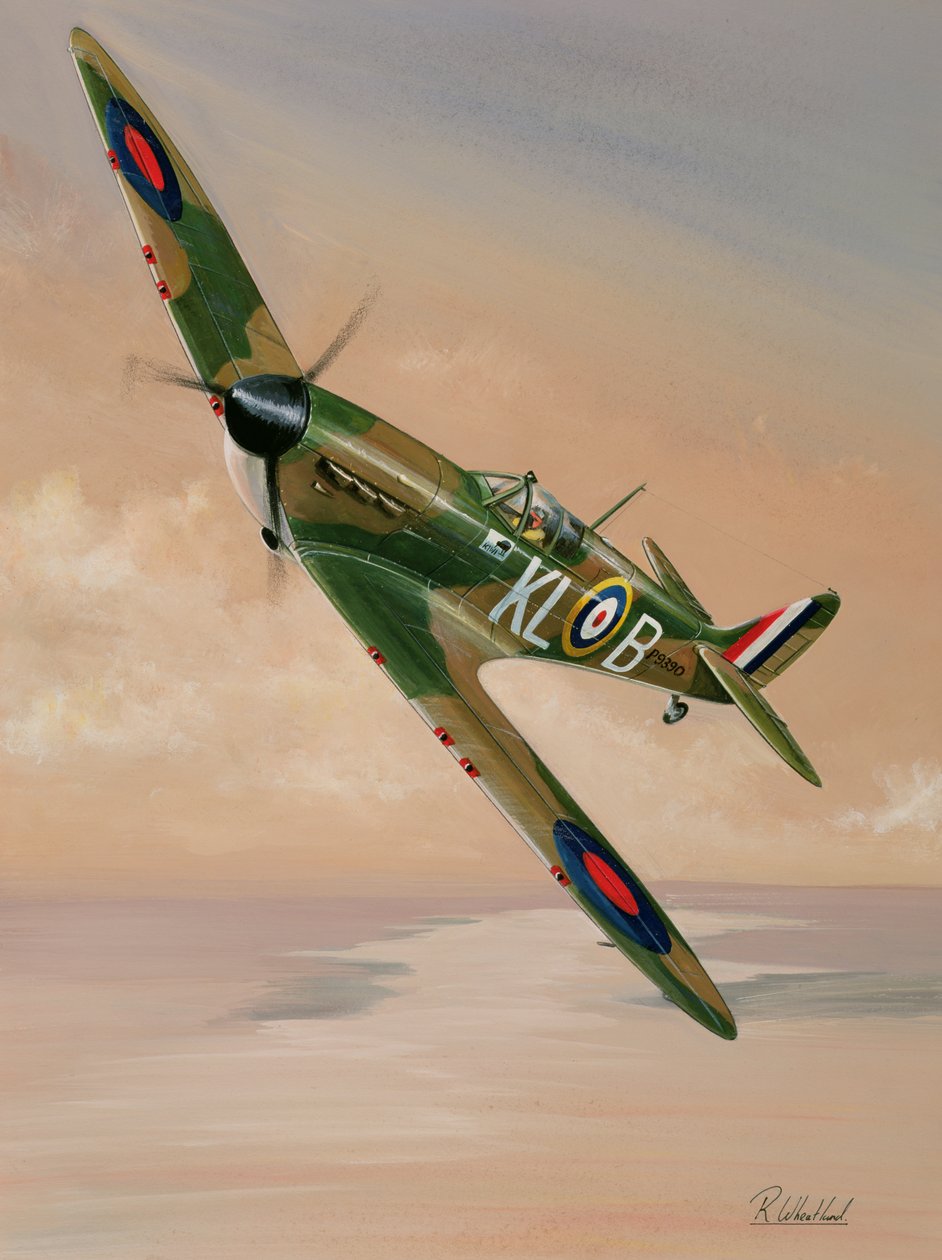 Turning For Home, 1997 (toaleta i gwasz na papierze) autorstwa Richard Wheatland