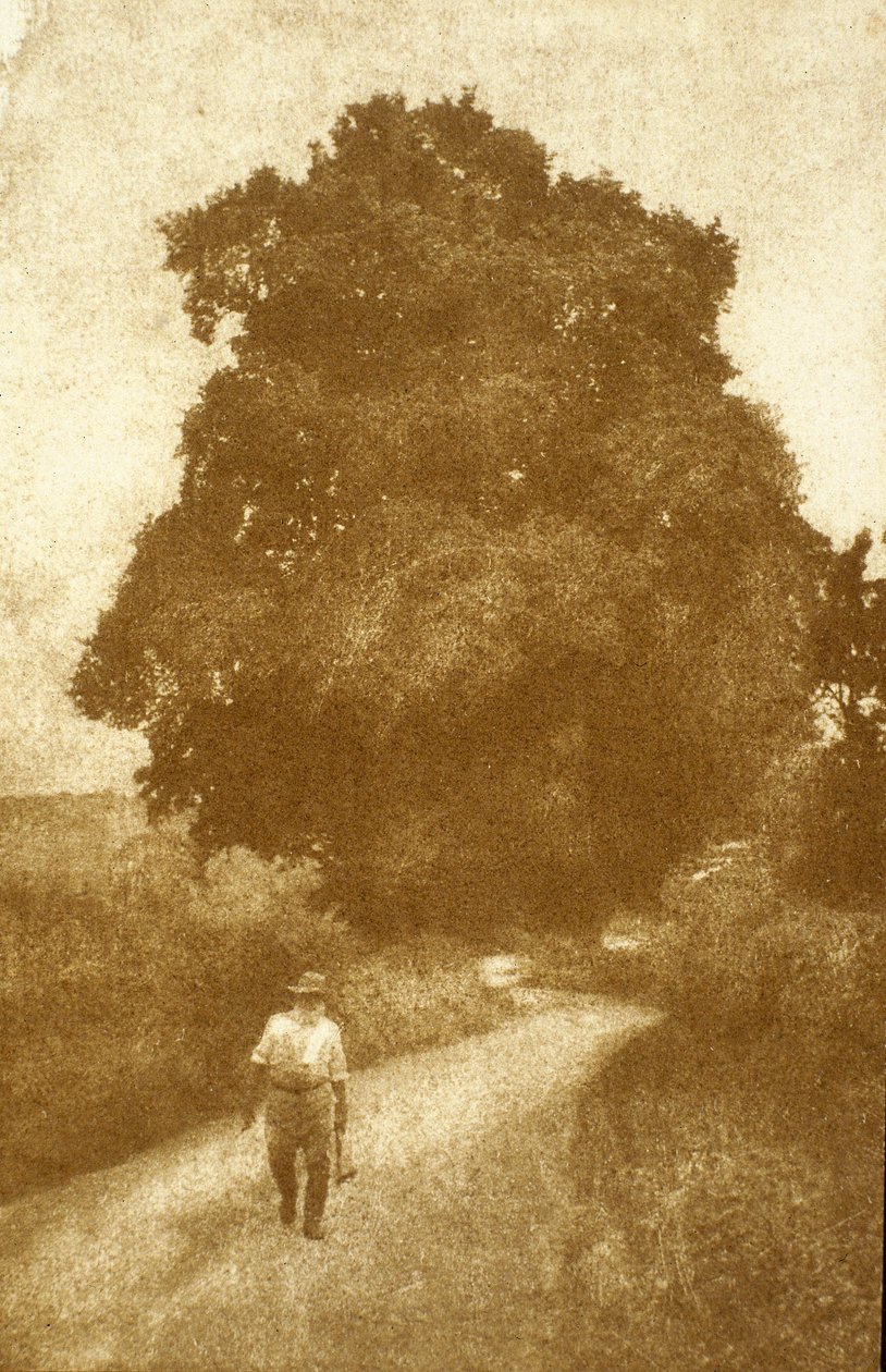 Surrey autorstwa John Pardon
