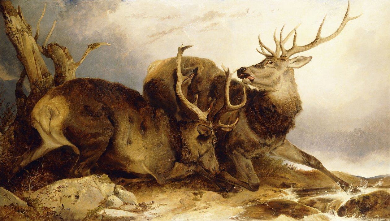 Walka, 1847 autorstwa Richard Ansdell