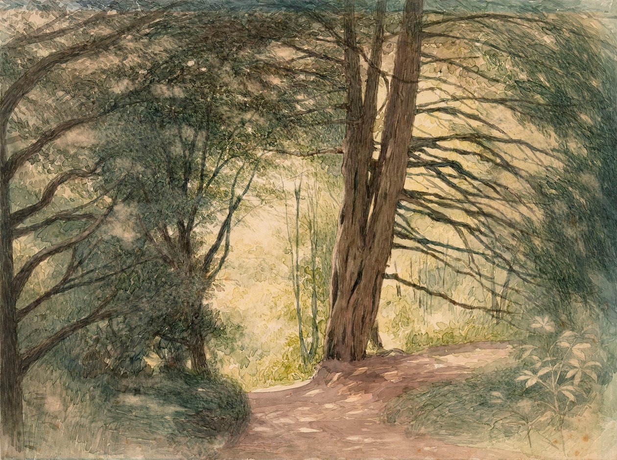 Box Hill, Surrey autorstwa Richard Doyle