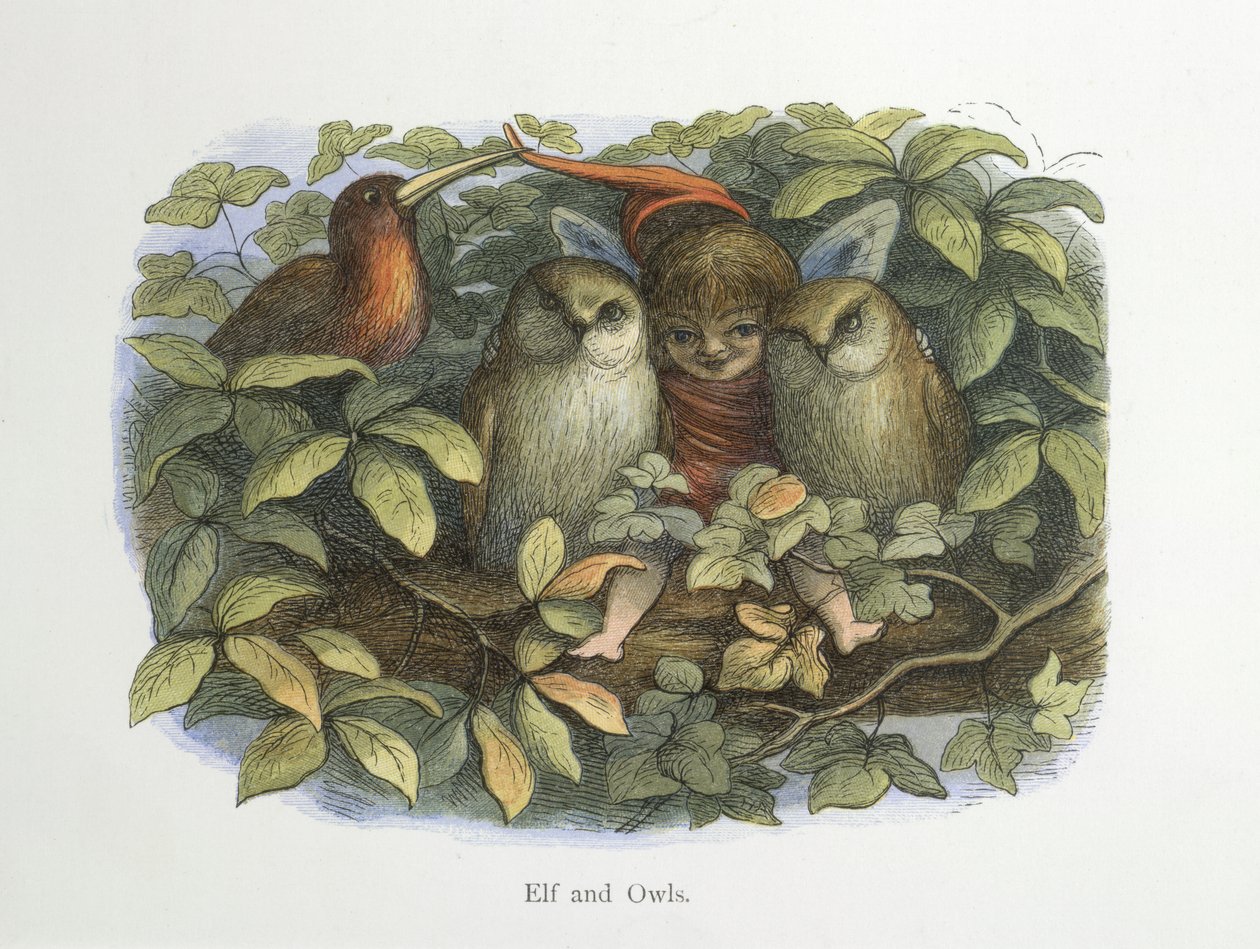 Elf i sowy autorstwa Richard Doyle