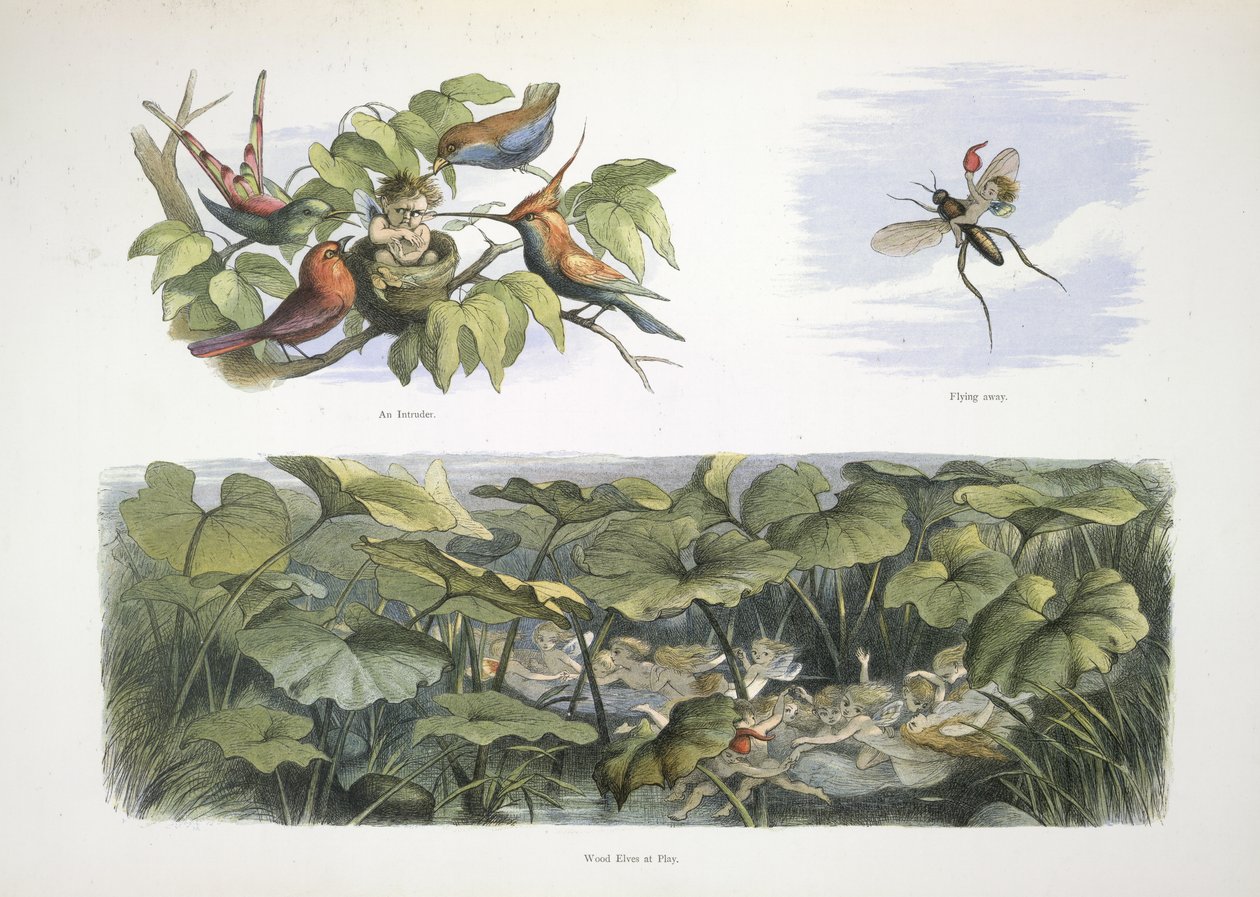 Elfy autorstwa Richard Doyle