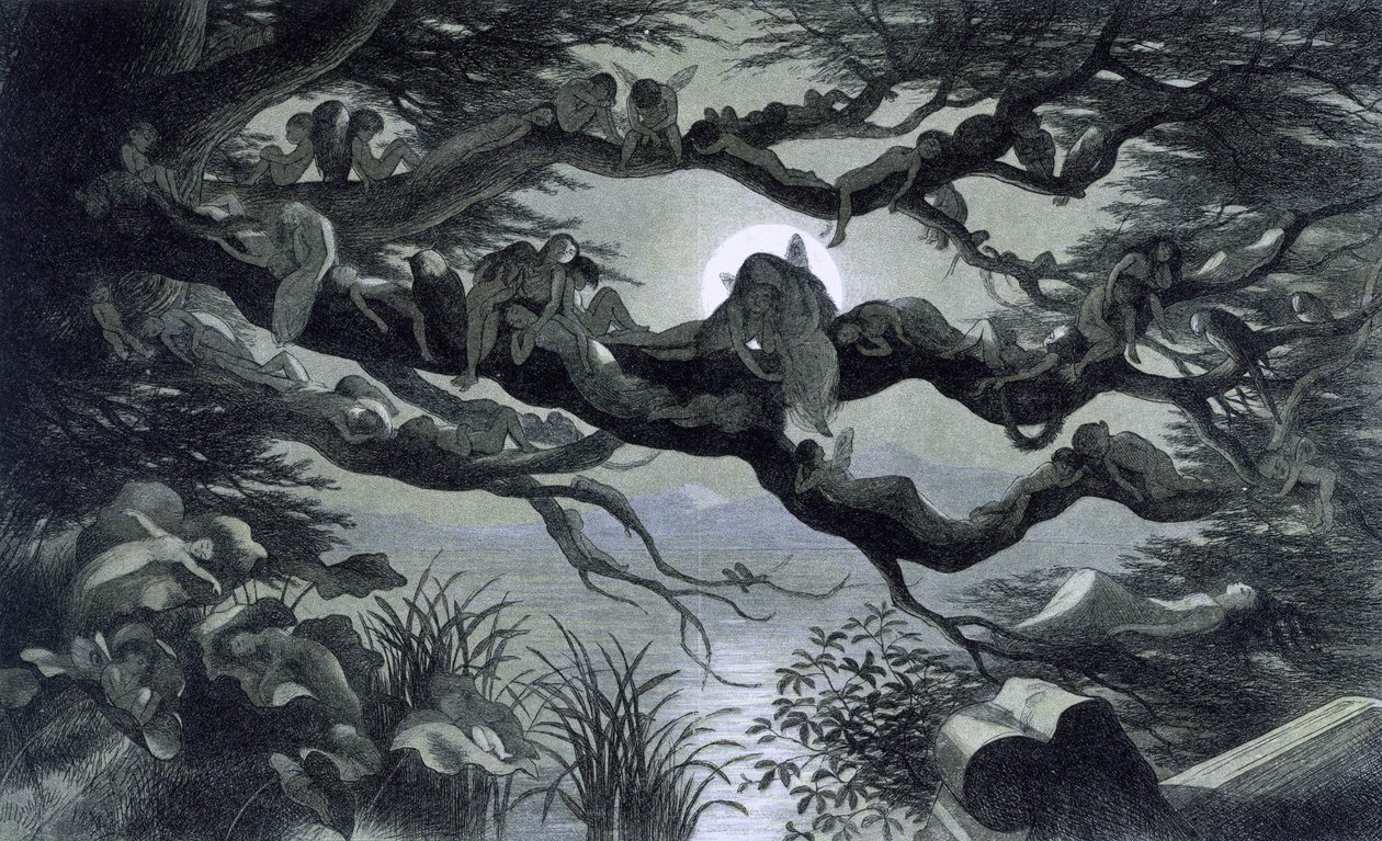 Wróżki, nimfy i elfy odpoczywają w świetle księżyca na gałęzi? Ilustracja ""W Krainie Bajek. Seria zdjęć ze świata elfów"" Richarda Doyle