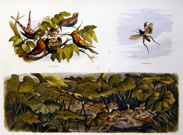 W Krainie Wróżek autorstwa Richard Doyle