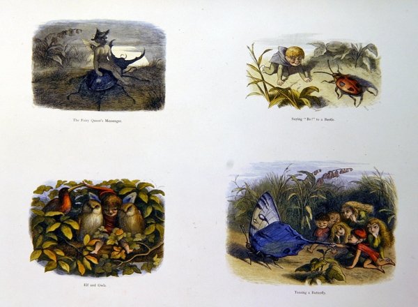 W Krainie Wróżek autorstwa Richard Doyle