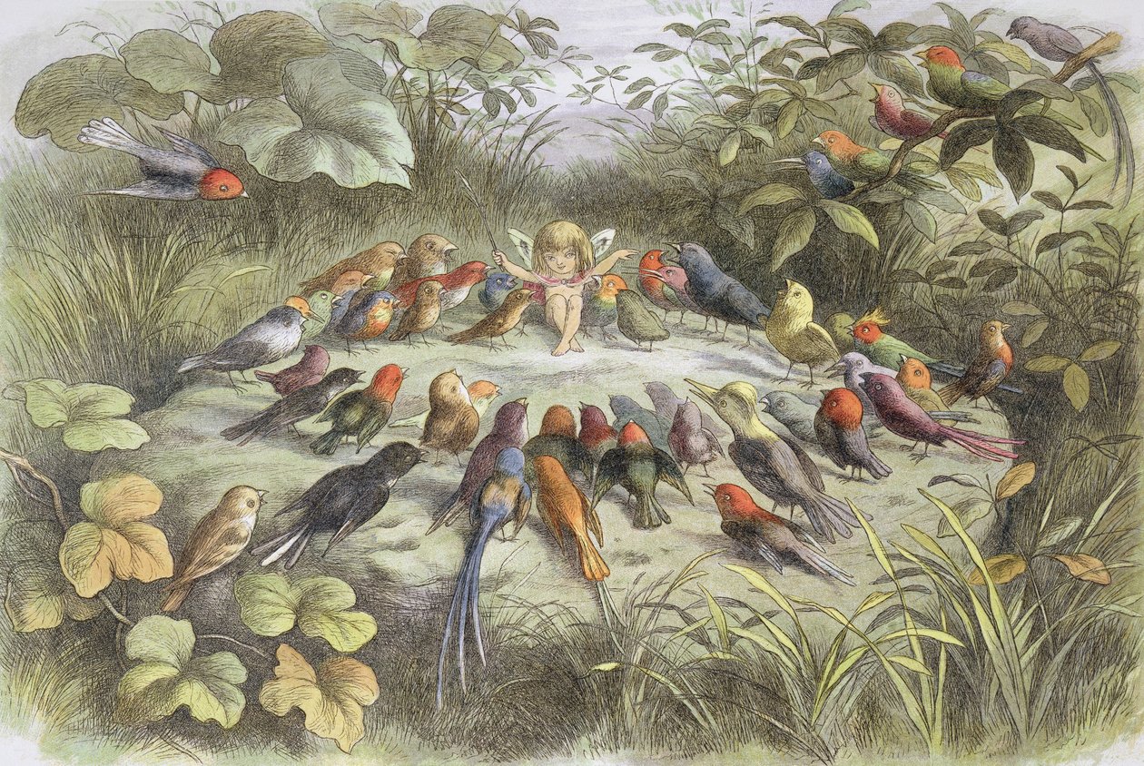 Próba muzyczna w krainie baśni (ilustracja z książki „W krainie baśni. Obrazy ze świata baśni”, autorstwa Williama Allinghama i Andrew Langa autorstwa Richard Doyle