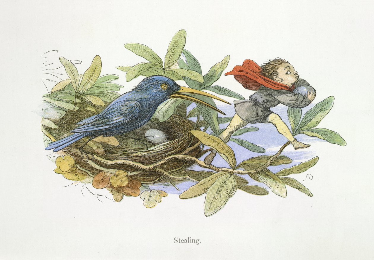 Kradzież autorstwa Richard Doyle