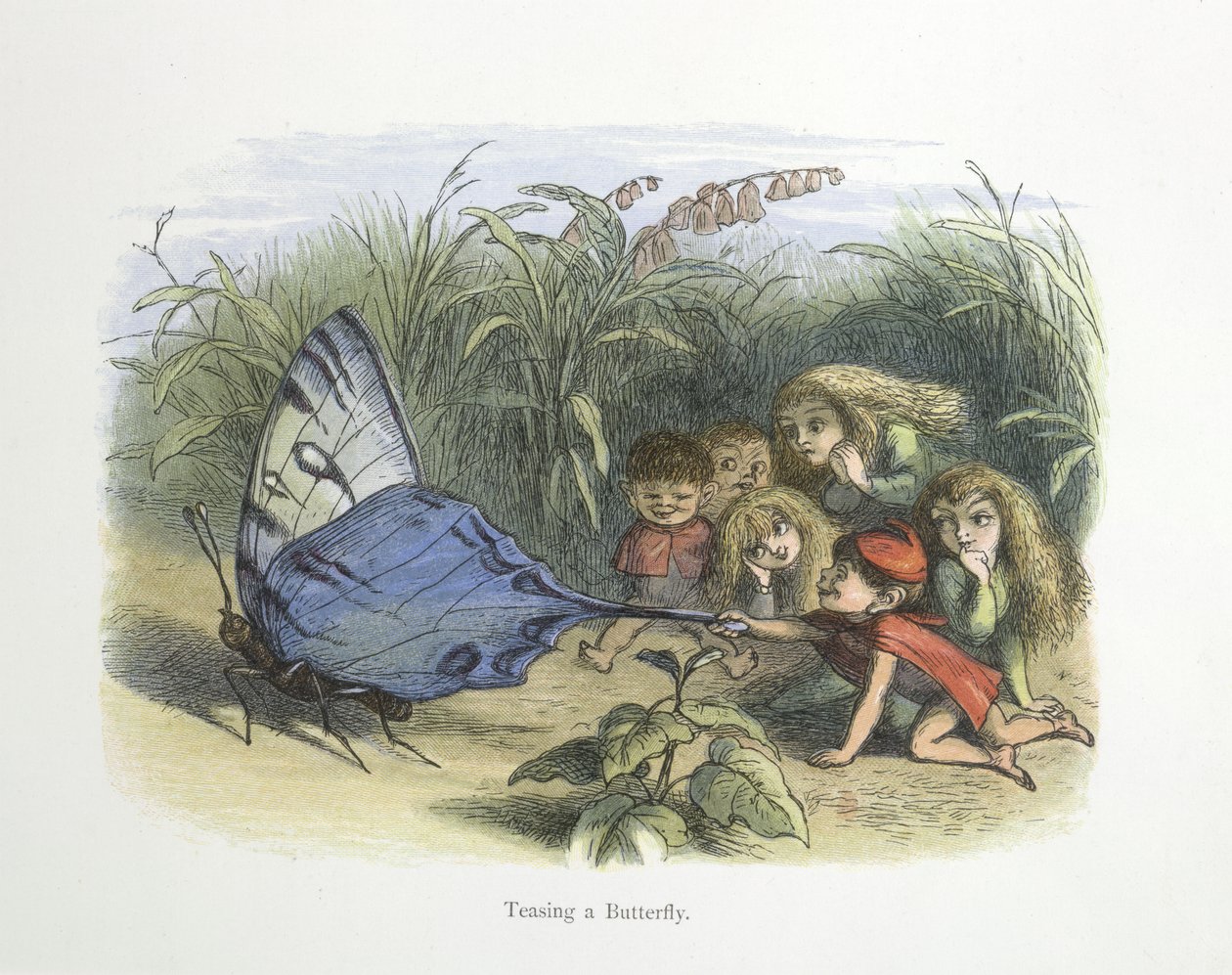 Drażni motyla autorstwa Richard Doyle