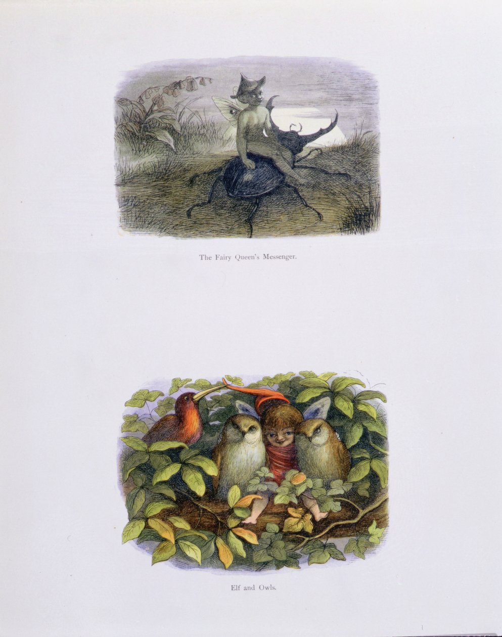 Posłaniec Królowej Wróżek oraz Elf i Sowy, ilustracje z „W krainie baśni: seria obrazów ze świata elfów” autorstwa Williama Allinghama i Andrew Langa autorstwa Richard Doyle