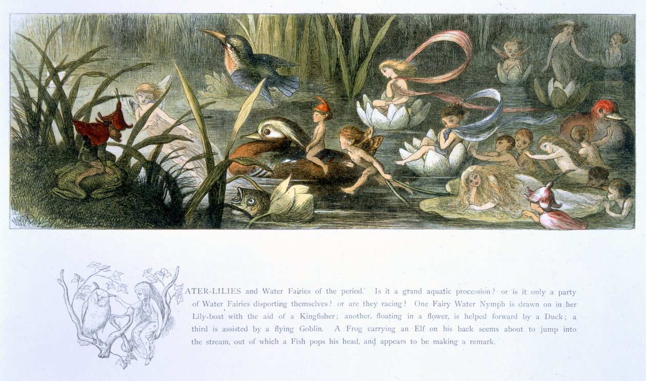 Lilie wodne i wróżki wodne, ilustracja z „W krainie baśni: seria obrazków ze świata elfów” autorstwa Williama Allinghama i Andrew Langa autorstwa Richard Doyle