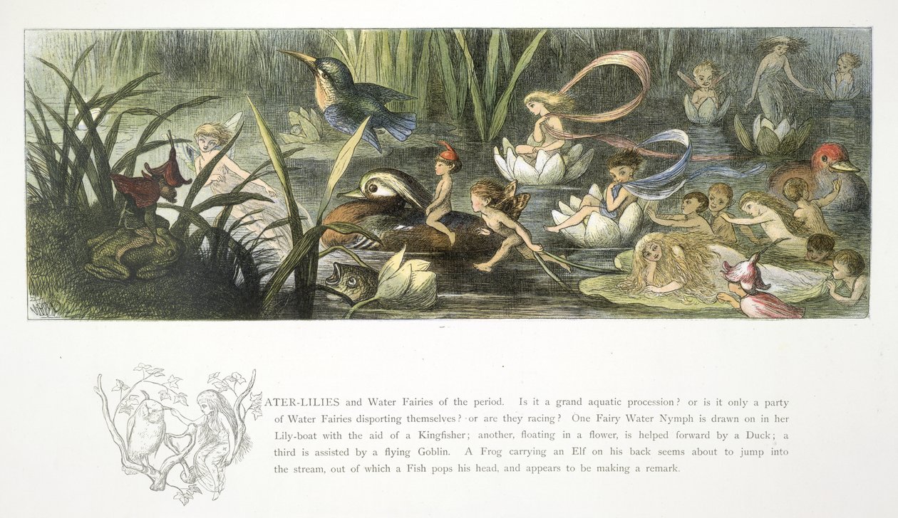 Lilie wodne i wróżki wodne autorstwa Richard Doyle