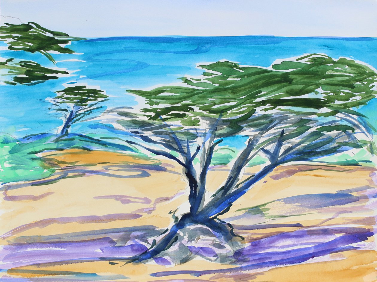 Cyprys, Zatoka Carmel, 2019 autorstwa Richard Fox