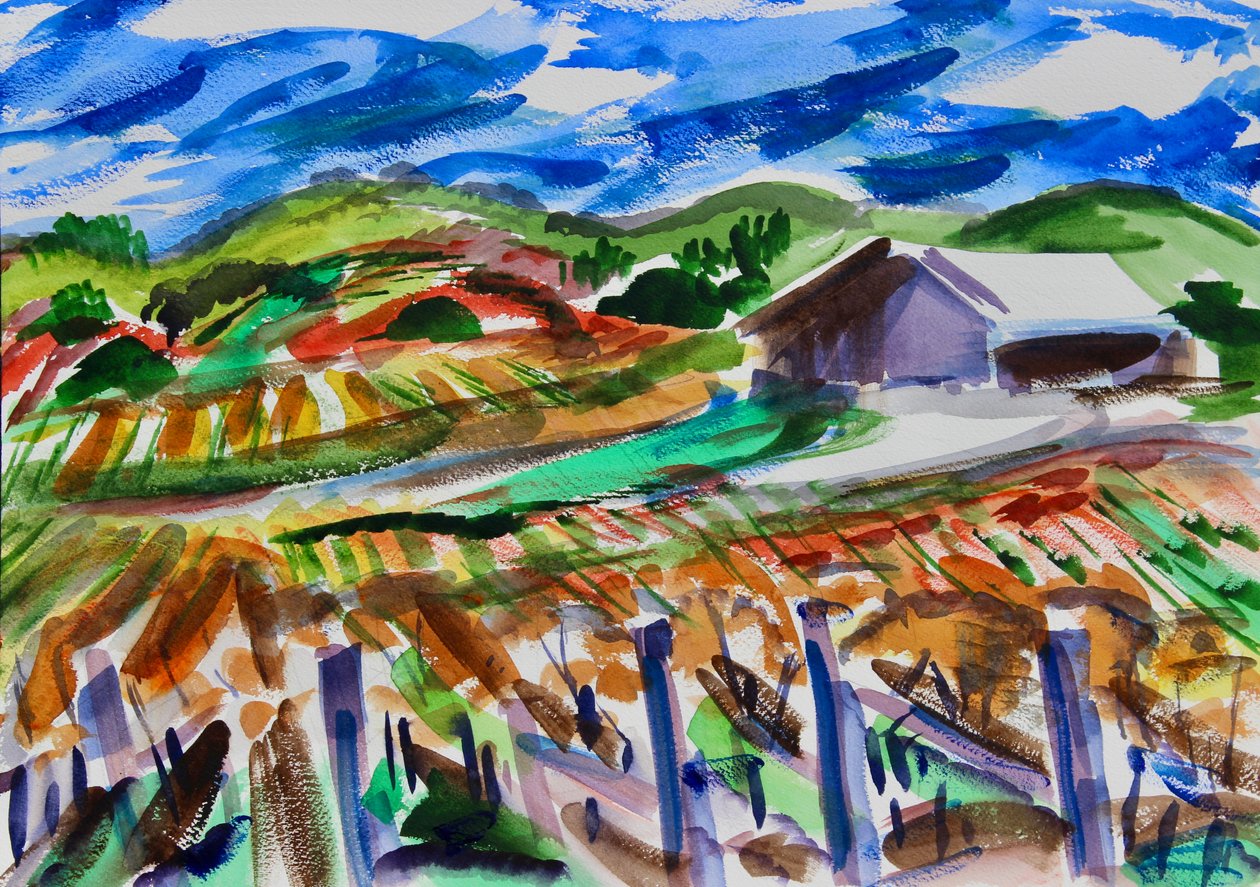 Napa jesienią 2017 autorstwa Richard Fox