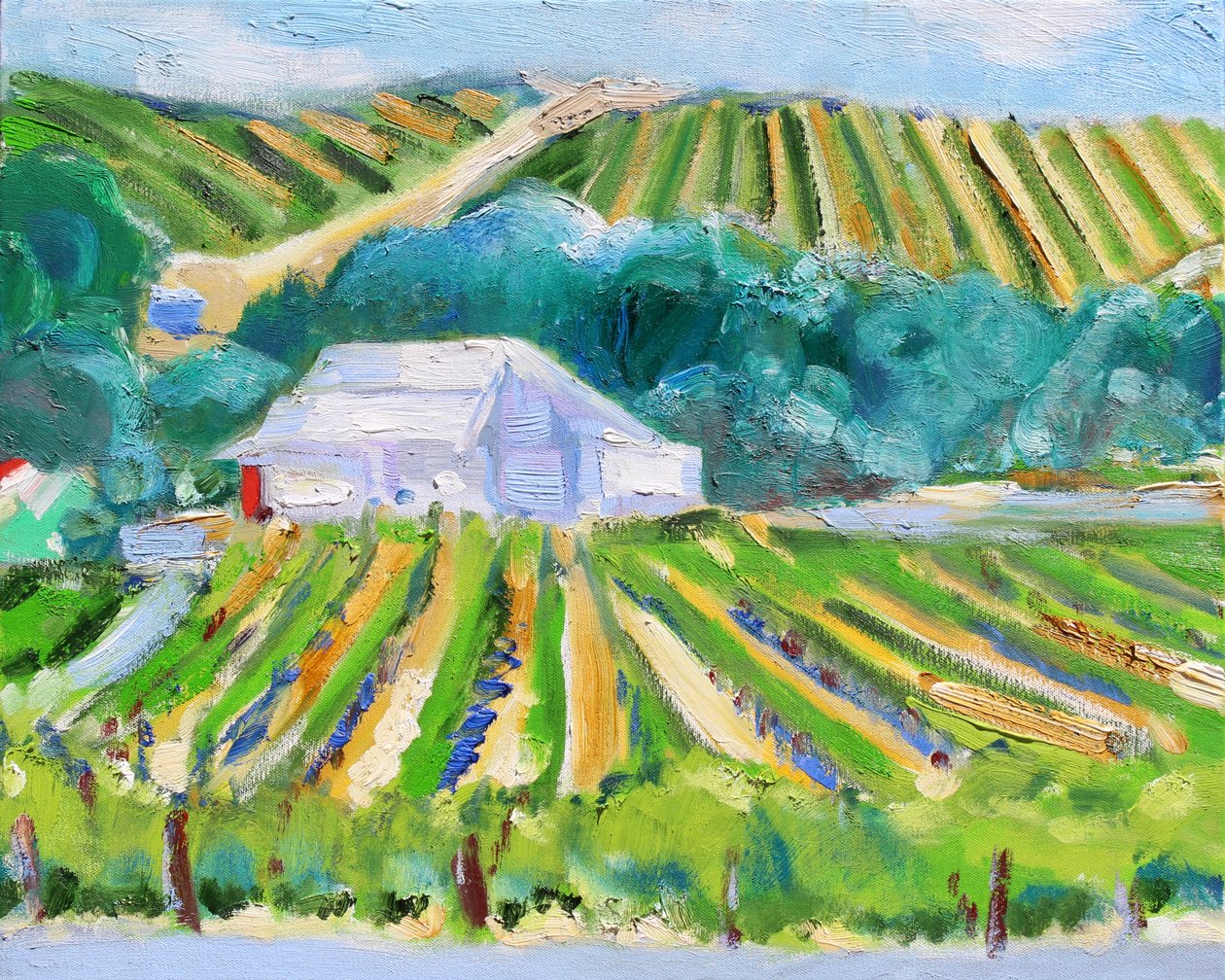 Biała Stodoła i Winnica, Napa, 2019 autorstwa Richard Fox