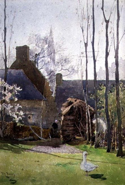 Gęś domowa autorstwa Richard Gibbs Henry Toovey