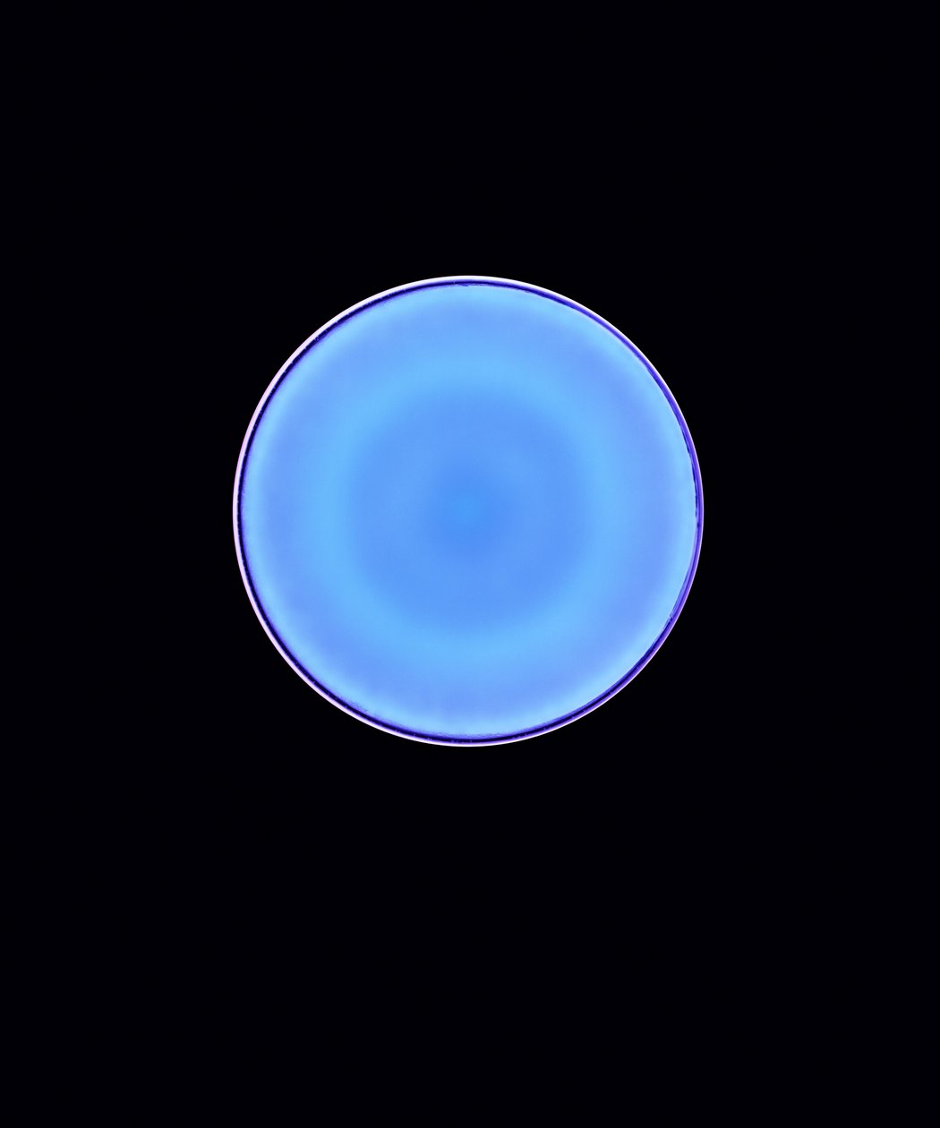 Circle X, 2005 (fotogram cyfrowy typu C) autorstwa Richard Green