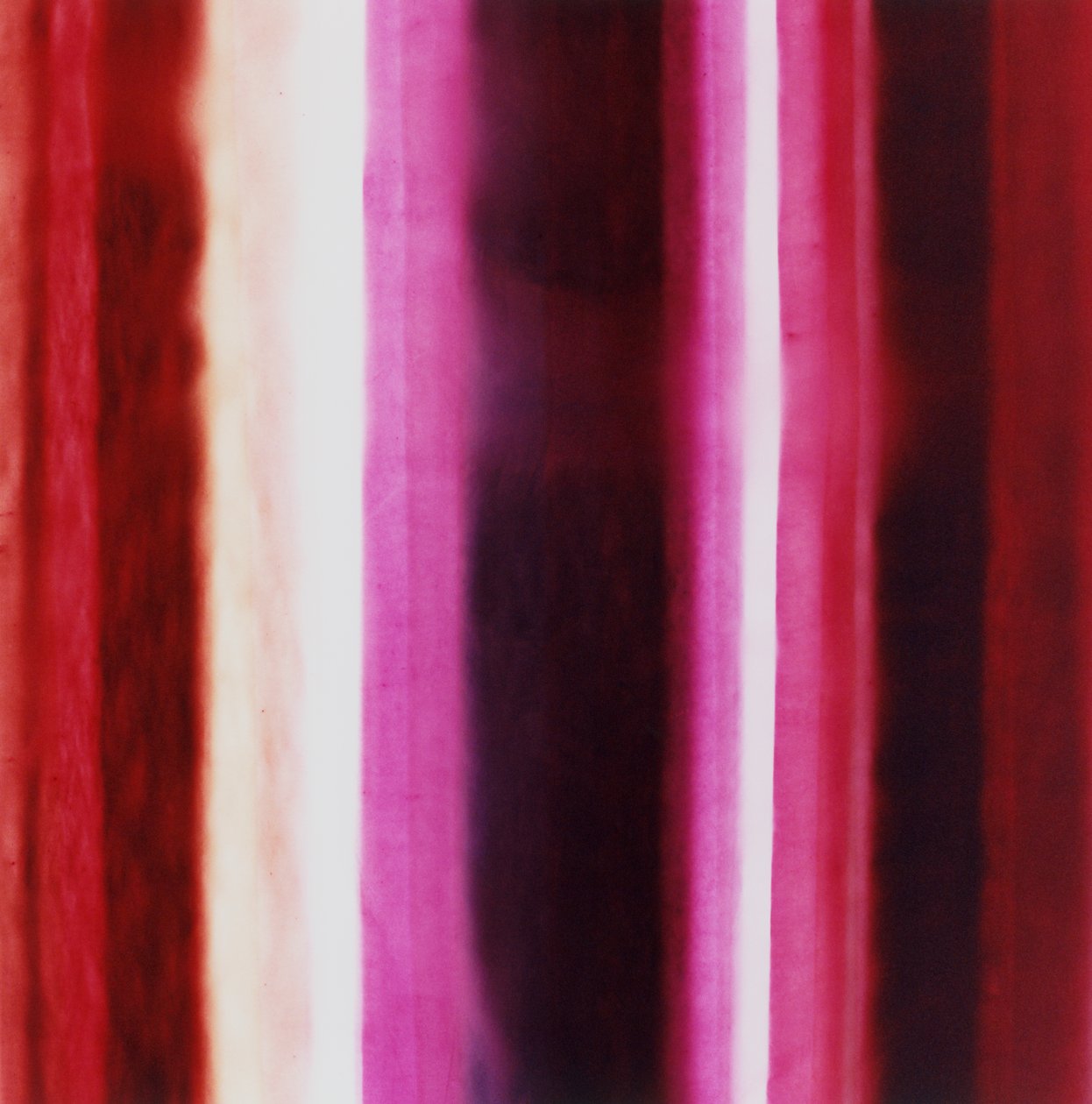Stripe XIII, 2005 autorstwa Richard Green