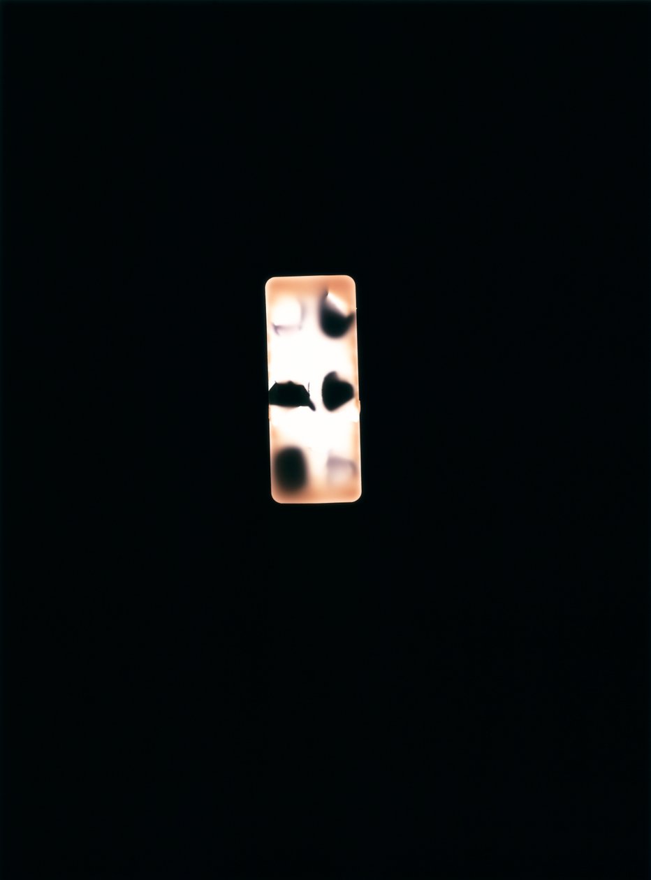 Sem título, 2004 (fotograma tipo C exclusivo)polonês autorstwa Richard Green