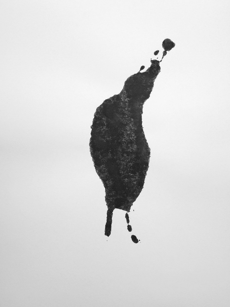 Bez tytułu, 2009 (monotypia) autorstwa Richard Green