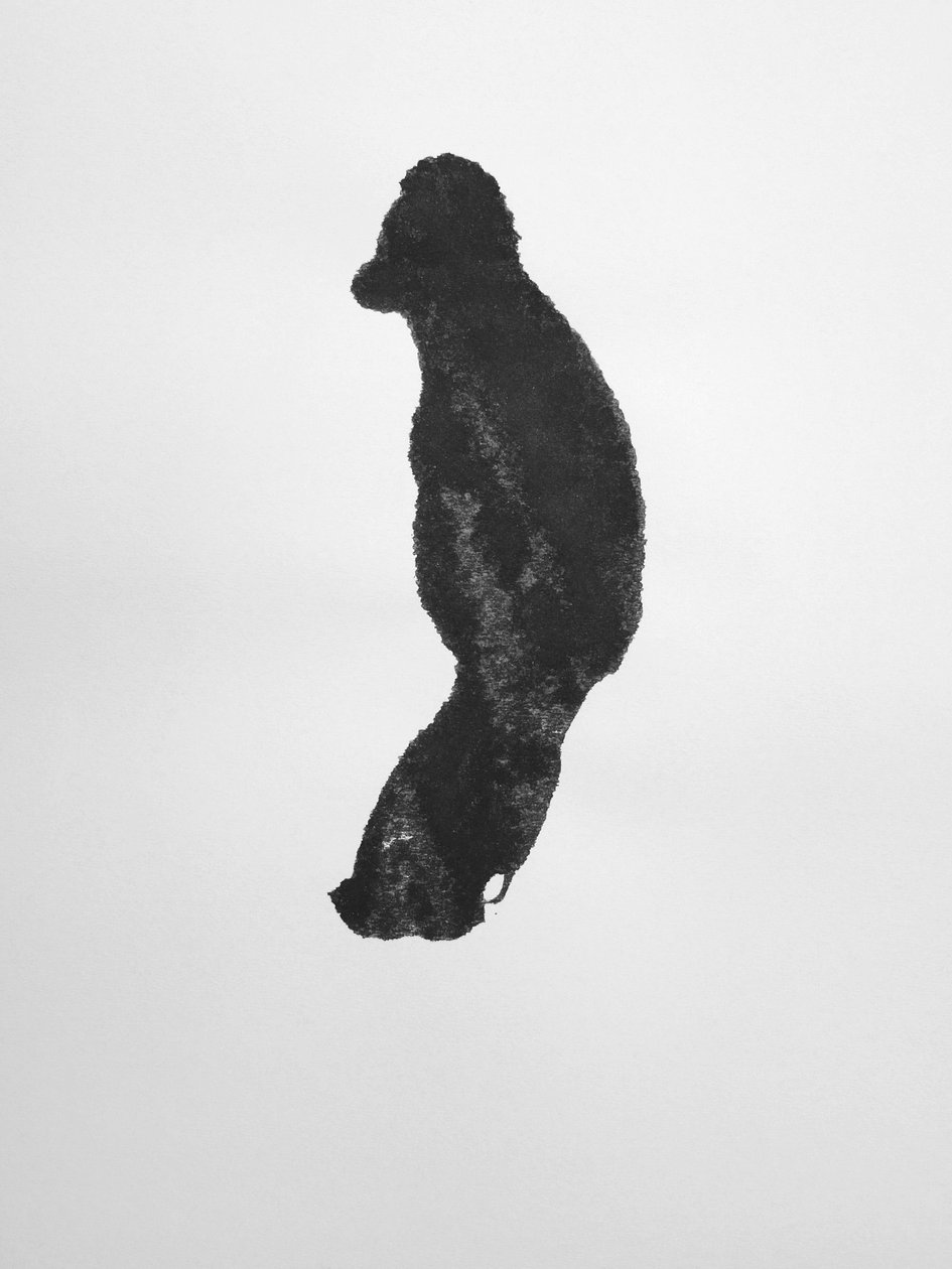 Bez tytułu, 2009 (monotypia) autorstwa Richard Green