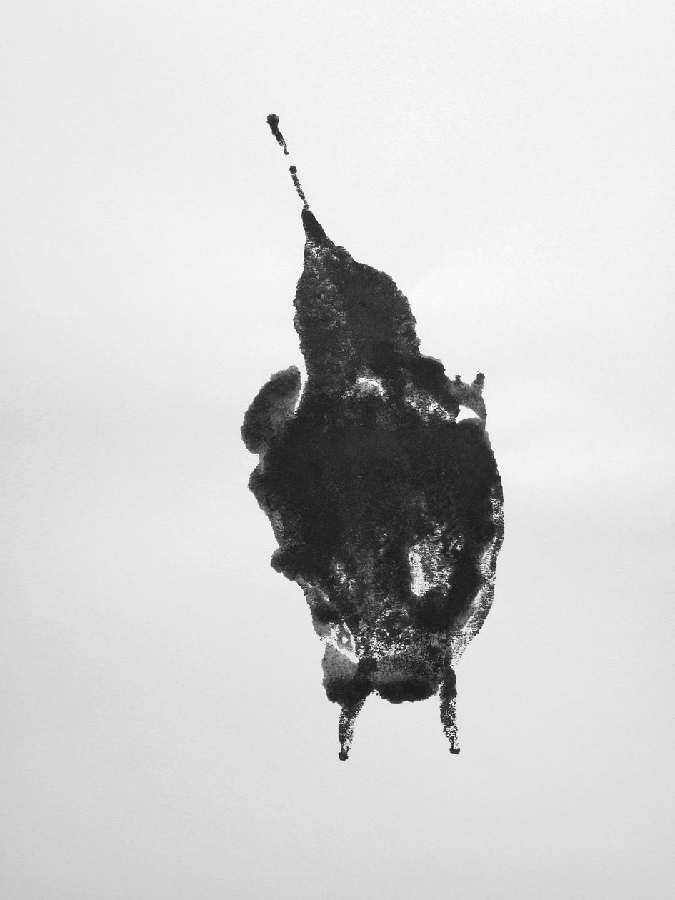 Bez tytułu, 2009 (monotypia) autorstwa Richard Green