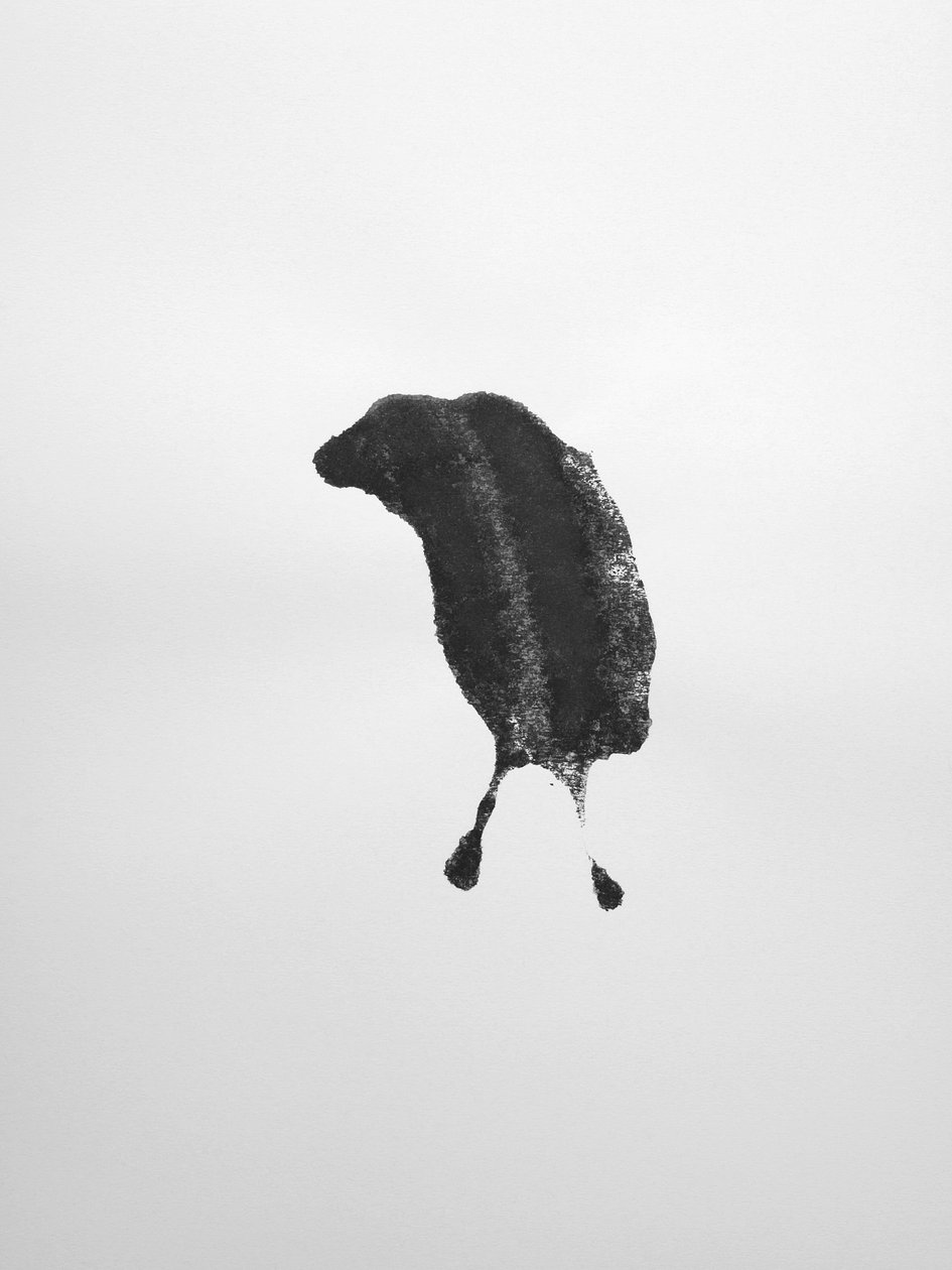 Bez tytułu, 2009 (monotypia) autorstwa Richard Green