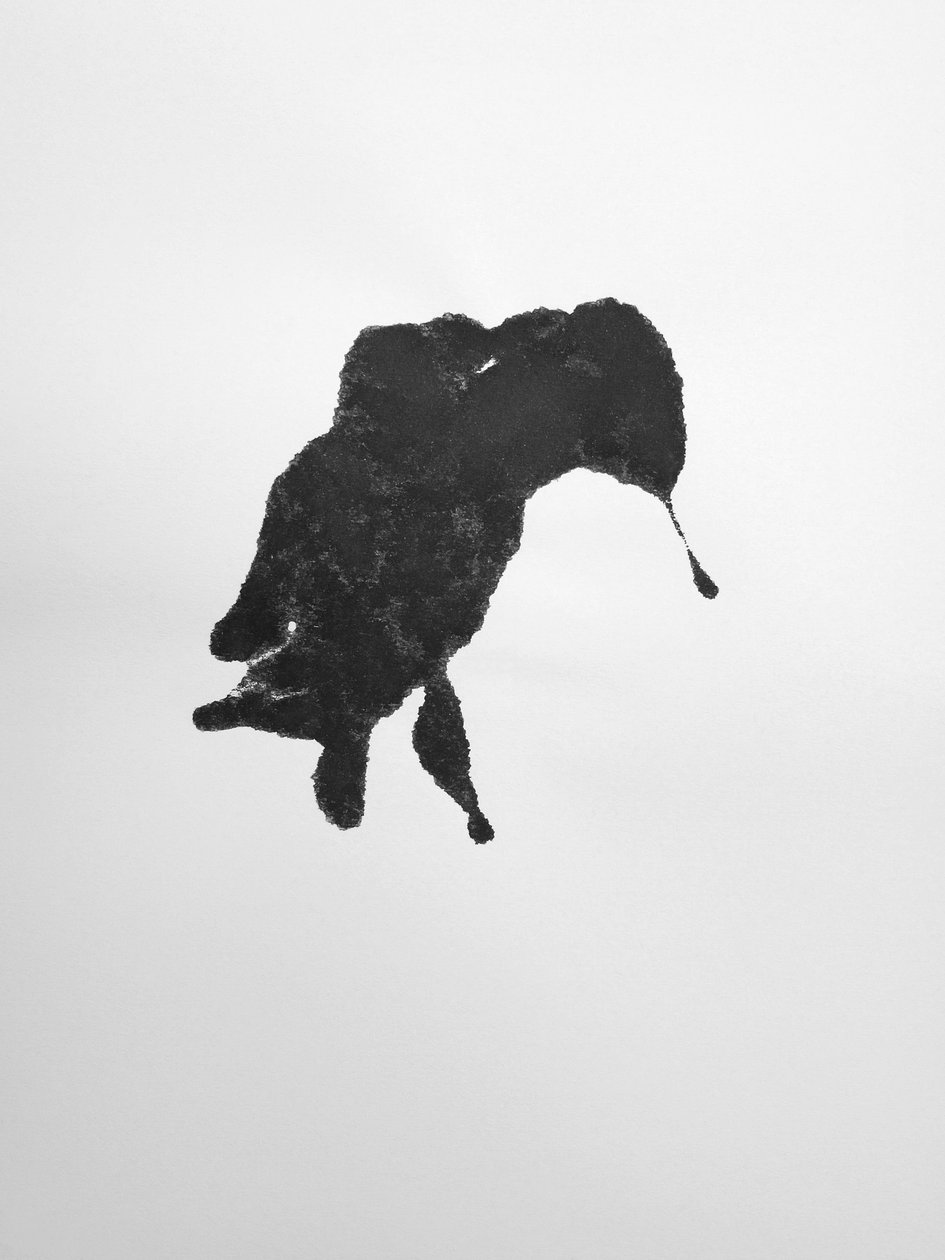 Bez tytułu, 2009 (monotypia) autorstwa Richard Green