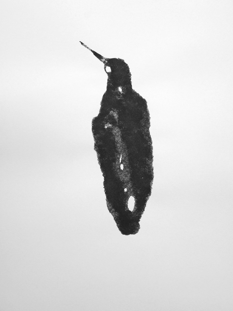 Bez tytułu, 2009 (monotypia) autorstwa Richard Green