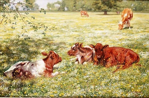 Cielęta na wiosnę autorstwa Richard Henry Brock