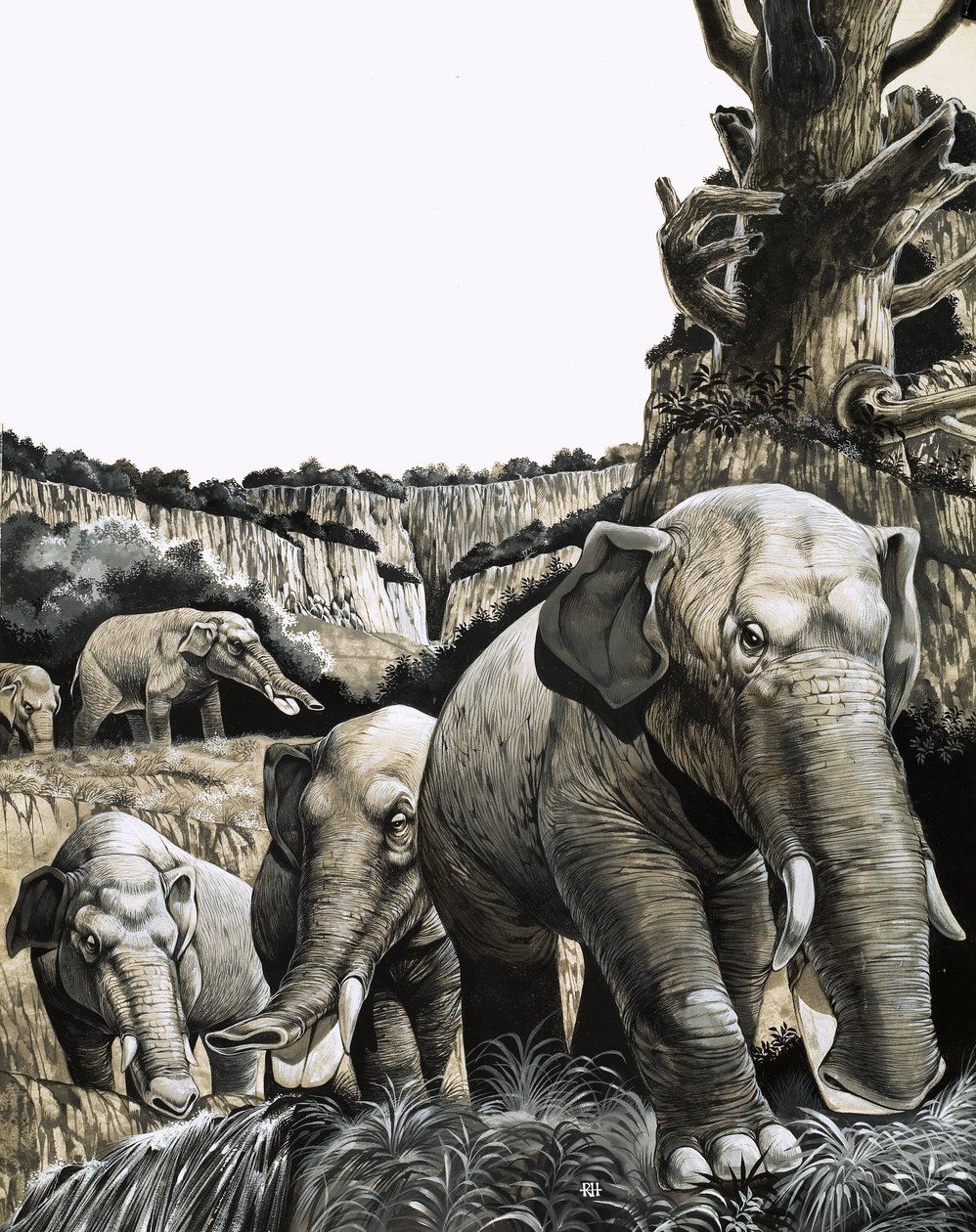 Dziwny Amebelodon autorstwa Richard Hook