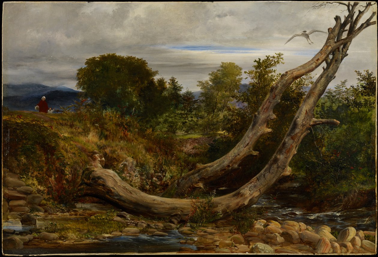 Heron Disturbed, ok. 1850 (olej na tartaku) autorstwa Richard Redgrave