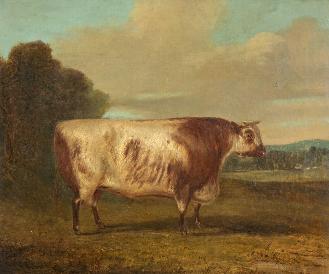 Byk, 1862 autorstwa Richard Whitford