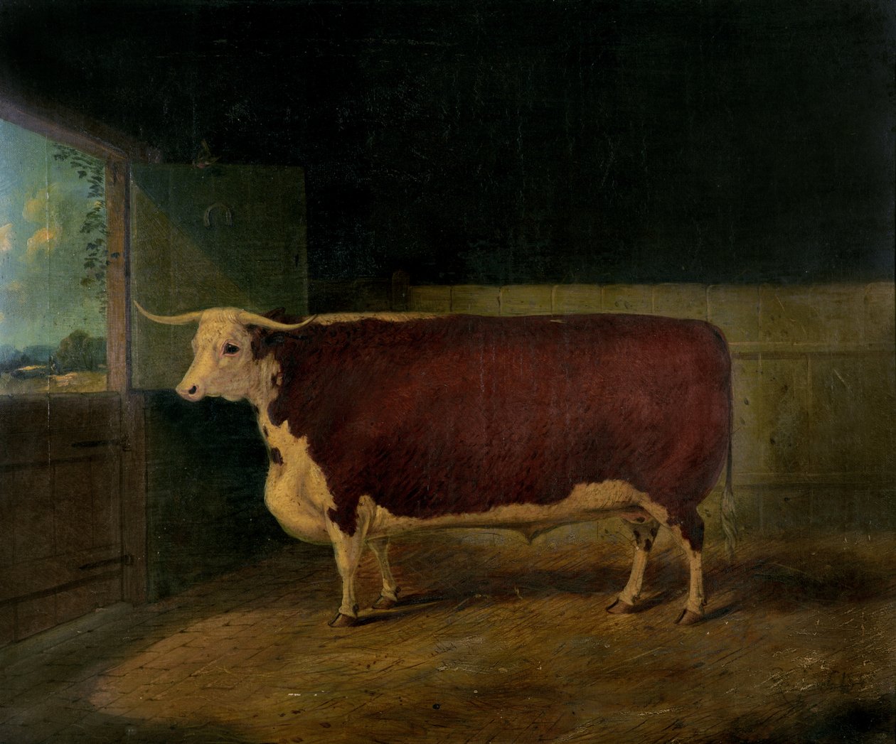 Portret nagrody Hereford Steer, 1874 autorstwa Richard Whitford