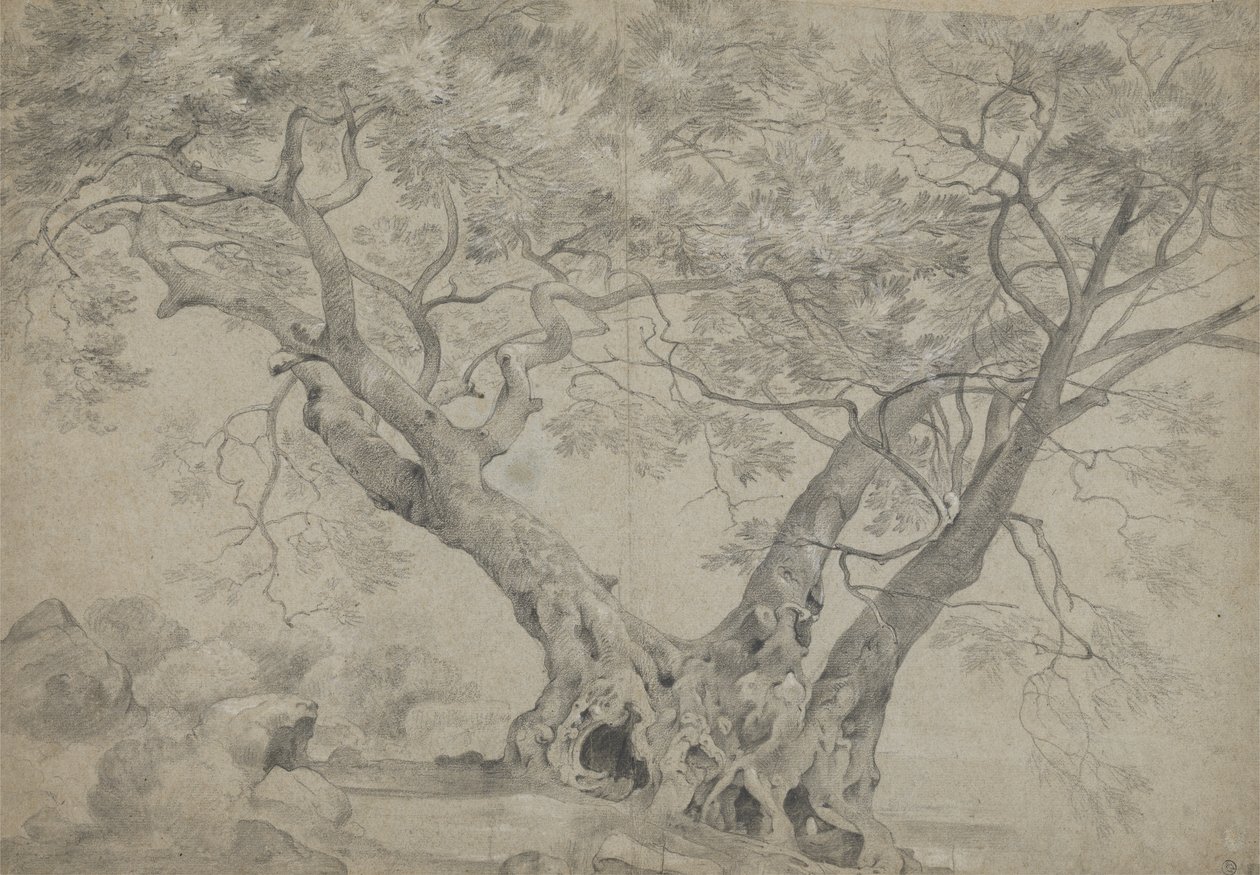 Arbra Sacra nad brzegiem jeziora Nemi, ok. 1754-56 (czarno-biała kreda na papierze) autorstwa Richard Wilson