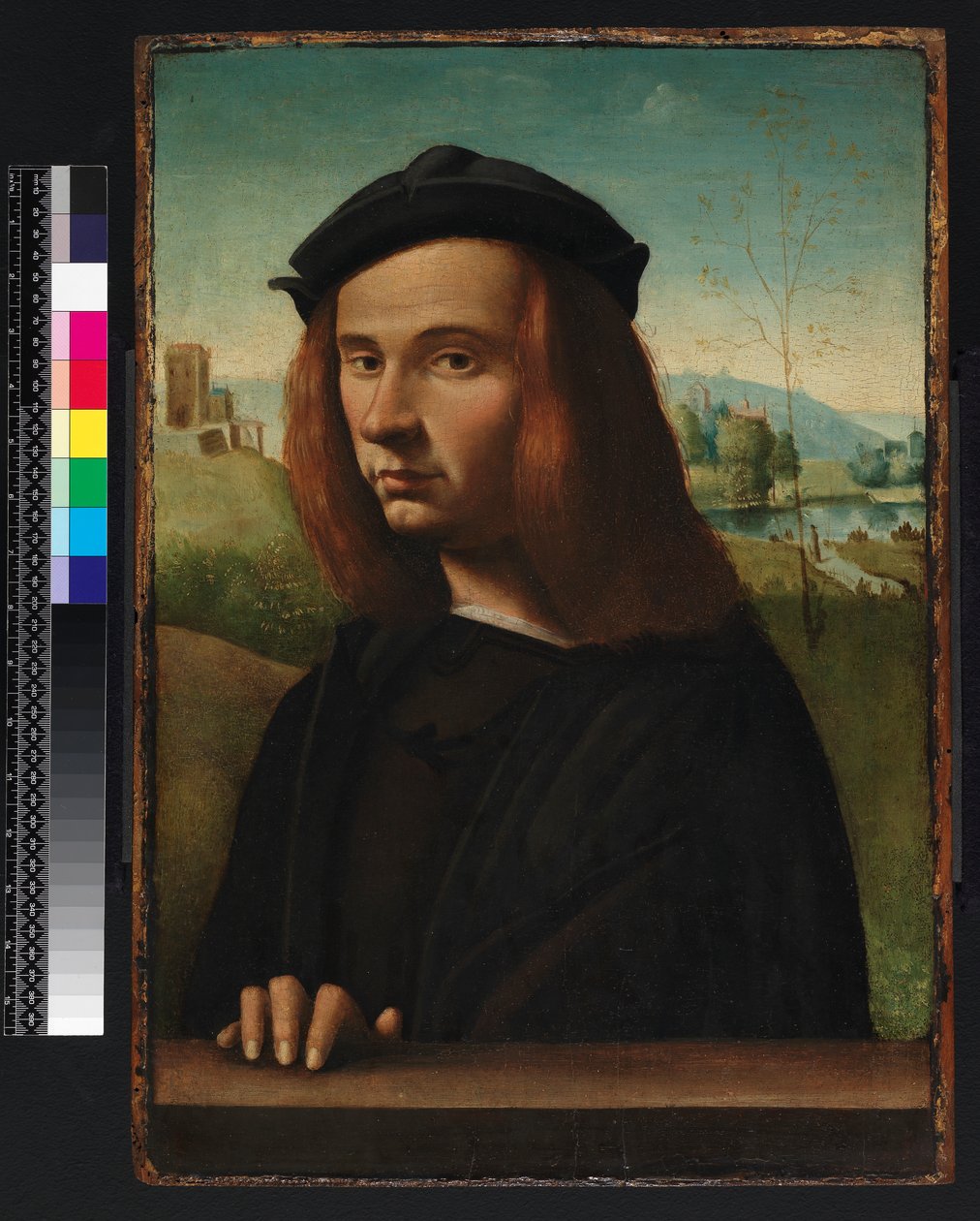 Portret młodego mężczyzny, 1500 autorstwa Ridolfo Ghirlandaio