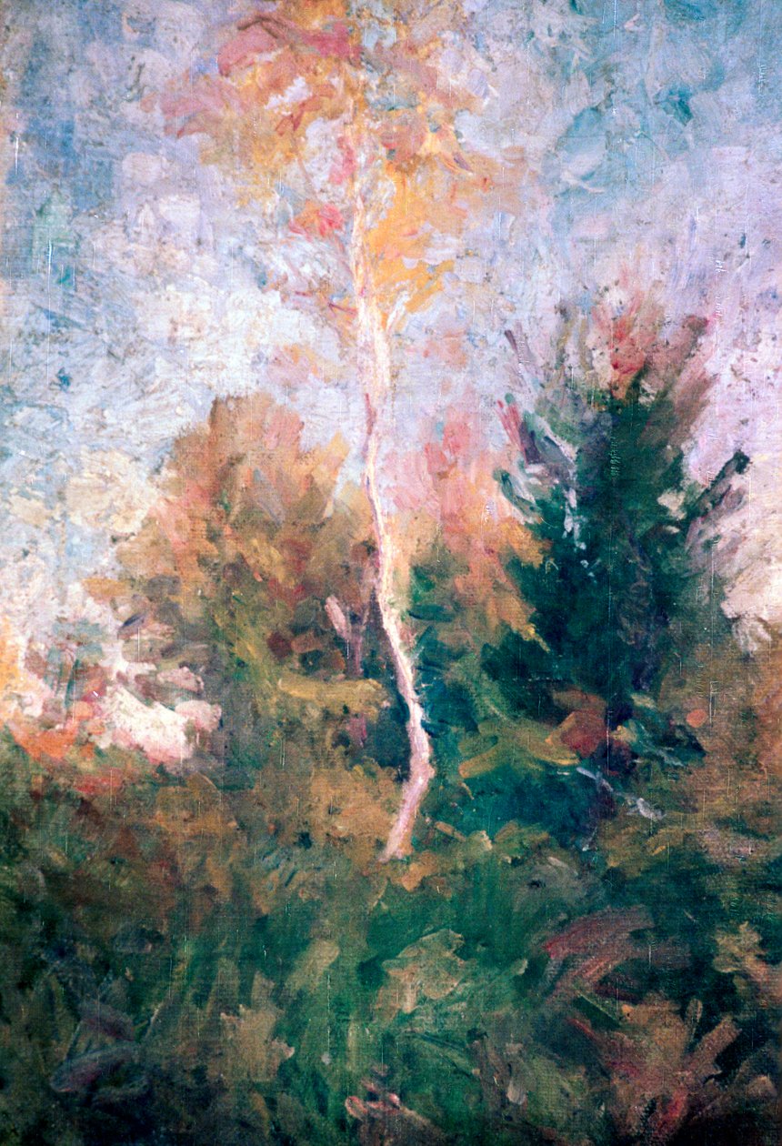„Brzoza”, c1889-1943 autorstwa Rihard Jakopic